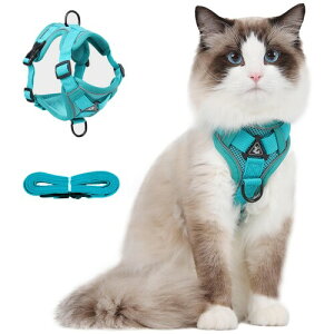 Paipeper L n[lX  [h Ȃ _ubN Lpi IV ^p ˑf 킢 bV y ʉ@ ЊQ  U 10FWJ(u[ M)