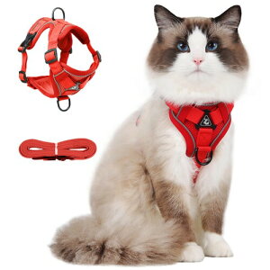 Paipeper L n[lX  [h Ȃ _ubN Lpi IV ^p ˑf 킢 bV y ʉ@ ЊQ  U 10FWJ(bh S)