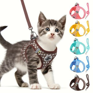 Paipeper Lpn[lX [ht  S݌v EȂ ^p ʋC   `FbN U o y ʉ@ ЊQ i`FbNj F M