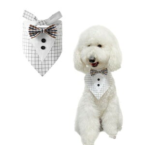 FLUFFYPET tH[}hbO^LV[ho_i ^ ^ Gv lN^C p ap `[J[ `FbN zCg LTCY