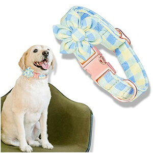 Kalevel L   O y   Lp Z[teB  O[ Su y O dbԍ qDt