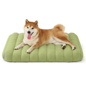 Lesure  xbh ybgxbh h L xbh NbV ^p ӂӂ  ̈U ~ OJo[ 􂦂 ֗ /^/Lp/ʔNKp 킢