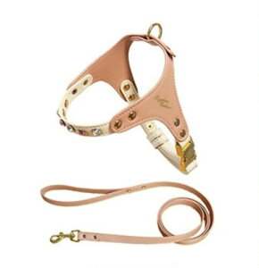 MayChanC` ybgn[lX Zbg pn[lX Lpn[lX ybgpi U? jO ֗ y ʋC \E 킢 oh~ ȃ_ChobN