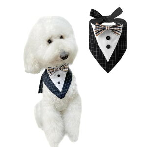 FLUFFYPET tH[}hbO^LV[ho_i ^ ^ Gv lN^C p ap `[J[ `FbN ubN LTCY