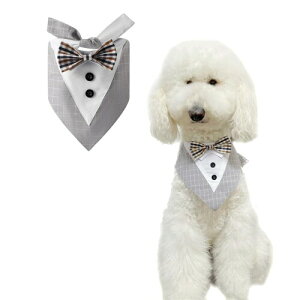 FLUFFYPET tH[}hbO^LV[ho_i ^ ^ Gv lN^C p ap `[J[ `FbN O[ LTCY