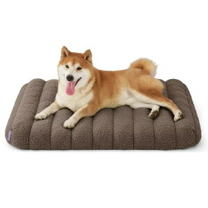 Lesure  xbh ybgxbh h L xbh NbV ^p ӂӂ  ̈U ~ OJo[ 􂦂 ֗ /^/Lp/ʔNKp 킢