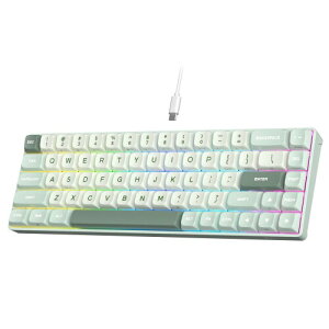 RK ROYAL KLUDGE C68 �z�[���G�t�F�N�g ���J�j�J�� �Q�[�~���O�L�[�{�[�h 65% HE���C�X�C�b�` �L��RGB�L�[�{�[�h �z�b�g�X���b�v�\ ���s�b�h�g���K�[ ���߉\�ȍ쓮 8K�|�[�����O���[�g Pro We