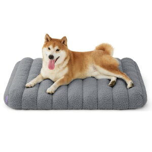 Lesure  xbh ybgxbh h L xbh NbV ^p ӂӂ  ̈U ~ OJo[ 􂦂 ֗ /^/Lp/ʔNKp 킢