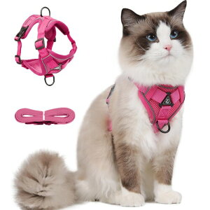 Paipeper L n[lX  [h Ȃ _ubN Lpi IV ^p ˑf 킢 bV y ʉ@ ЊQ  U 10FWJ([YsN XL)