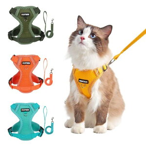 Paipeper L n[lX  [h Ȃ _ubN Lpi IV ^p ˑf 킢 bV y ʉ@ ЊQ  U 10FWJ(CgCG[ L)