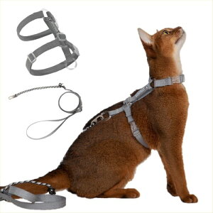 Lpn[lX [ht Ȃ y31g TCY߉ Up ʋCEyʁE锽 ^^LΉ S8F (O[)