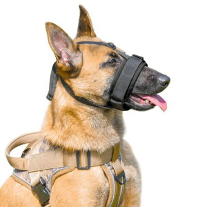   p}Y TCY\ ^ ^ ^  ߂ ݕth~ ih~ }XN ʋC v K ̌Jo[ ybgZ[teB}XN g[jO p