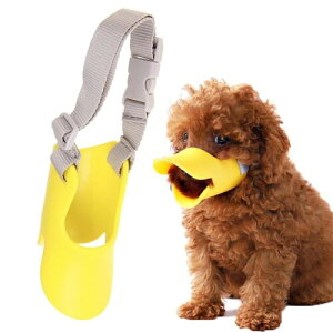 p Aq ybgp}XN p TCY\   Aq̌` h pʖi EH ݂Ƌjh~ ^ (CG[ STCY)