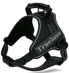 cocomall 2WAYAɗDn[lX Sypn[lX TRUE LOVE{X p hbO ybgpi 3Mˍޗ P o iCf ^A^A^Ɍ ʋC 