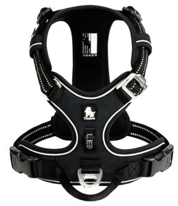 cocomall 2023ŐV pn[lX p hbO ybgpi 3Mˍޗ P iC ^A^A^Ɍ ʋC ߉\ (S, ubN)