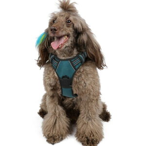 Rabbitgoo 犬 ハーネス 中型犬 13-20KG ソフト かわいい 犬用胴輪 引っ張り防止 負担が少ない首輪 サイズ調整可 夜間反射 抜けない 通気性 咳き込み防止 散歩 歩行補助 老犬介護 しつけ 運動