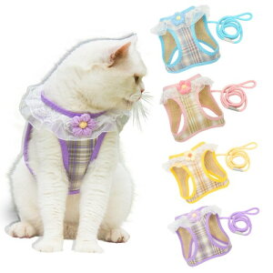 Paipeper Lpn[lX [ht  S݌v EȂ ^p ʋC   `FbN U o y ʉ@ ЊQ i[XE`FbNj p[v XS