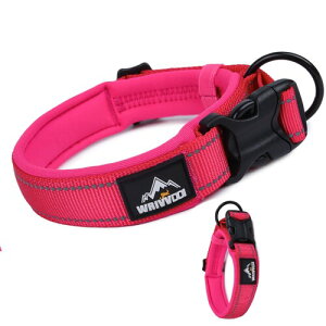 NyyGlykys   _炩pbh \tg y ybgpi q ybg L ˍޗ ʋC e͐ TCY ȒP  P U ^A^A^p (oF, XL)