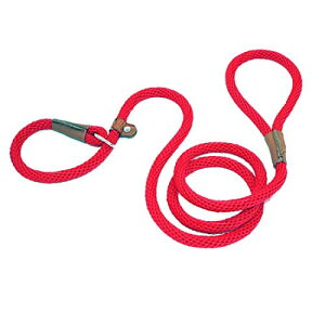 p[hvȌϋvd҂݃bPKChybghKtbNƃXChg[jOIȌU (^XChO, bh)