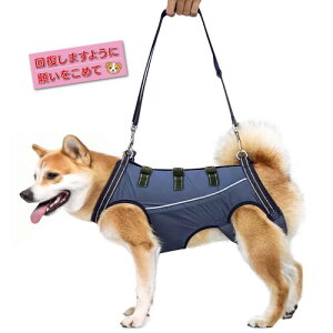 (DIOSARK)  T|[gn[lX s⏕  nr Sn[lX x  k  sx V Q  VjA O㑫⏕ EȒP ߉\ (lCr[u[, XL)