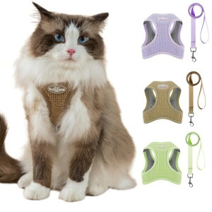 L n[lX  L ˂ lR qL U o Ȃ xXg \tg Lpy (uE, XXS)