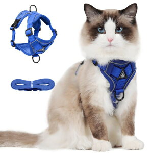 Paipeper L n[lX  [h Ȃ _ubN Lpi IV ^p ˑf 킢 bV y ʉ@ ЊQ  U 10FWJ(Cu[ S)