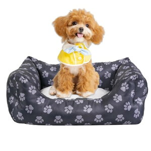 JinYin Pet L xbh  xbh ybg xbh NbV \t@ J[ybg Q g ^ Lp qL q tėp H~pxbh ʔN I[V[Y XNGA^ ӂӂ  