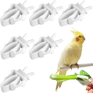  ؃z_[ p aNbv 6Zbg ،ŒNv vX`bN ȒP pH Œp oj[/nlY~/nX^[ ނ̏̋a