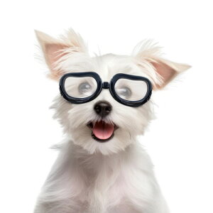 Enjoying Dog TOX ^ UVی hbOS[O ACEFA h ܂~ hbOVF[h ^p 5|hȏ NA