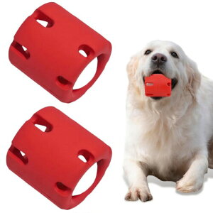 p VRebNXS ރ{[ 2 ϋv Ώ  XgX ^ɍœK