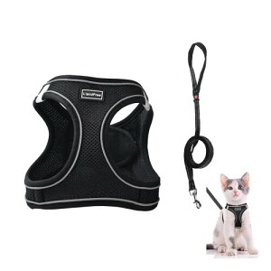 L'andFree L Lp n[lX [h 4dbN Ȃ [htn[lX ^  ˂ lR qL U o 锽 \tg y ȒP TCY߉ ʋC bV(S u