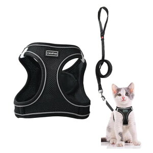 L'andFree L Lp n[lX [h 4dbN Ȃ [htn[lX ^  ˂ lR qL U o 锽 \tg y ȒP TCY߉ ʋC bV(M u