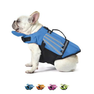 ONLINE PET pCtWPbg j~ ^ ^ ^ ߉\ ybg ̈S Lp j⏕ ی ˃C  Vїp ₷ jKi ^p ~