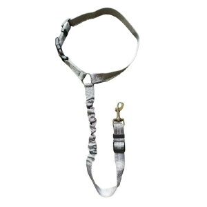 DEVENTORZ  V[gxg p[h \ Lk Ԑp[h iC ˑf pȒP яoh~ tȒP pJ[ANZT[ ybgpiiO[j