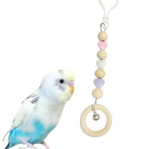 肨1 18cm { SSf VR ZLZCCR   Jt 肨 AX`bN XeX ANr[Y Jt (KP02Fn[g ւ{ p