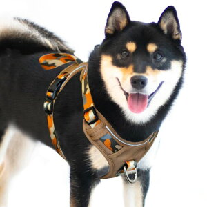 JC HOUSE h~n[lX ^p AEghA//UpΉ Ȃyʐ݌v t`uhbOEČ 񕉒Sy ȒP ʕ 3M lC ṕ[˂ (