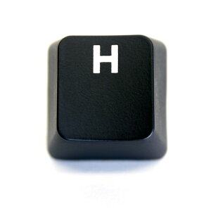 ���W�N�[�� GPRO G PRO X �L�[�L���b�v ���{��z�� �����p (�΂甄��) �L�[�X�C�b�` �L�[�{�[�h �Q�[�~���O �����Ή� (BERGBUCH) (H)