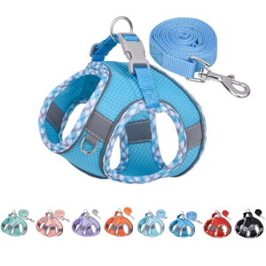  n[lX ^ [hZbg SȂ y ʋC pn[lXLn[lX  ȒPE Ȃ ́[˂^ 3MTMˑfޕt }WbNe[v ^ ^ 