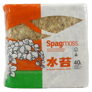 KeepRise  ~YRP j[W[hY 500g k AAi40Lj