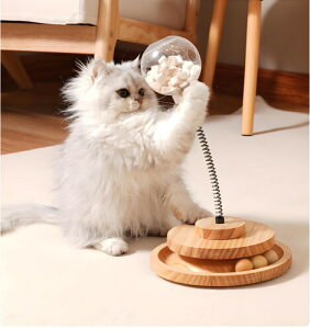 Ruienct L  ؐ ˂Hh~ ]{[ lV lR ^sObY ЂƂV L mߋ