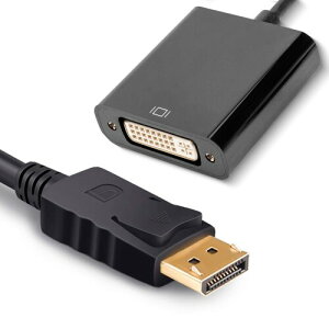 LAMB Displayport DVI ϊP[u DVIP[u DVIC^[tFCXDVI-D 24+5 1080Pt[HD(Full HD)Ή (10)