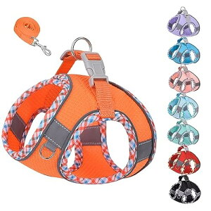 KUVEELA PET ^ L ^ n[lX [hZbg [v   hbOEGA ˌXgbvt bV  ߉\ U EȒPiIW Sj