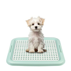  gC gCg[ gC pgC ybggC - OYANTEN M[ pgCg[ |ȒP bV ̂t t`ꂵɂ Gh~ 炳ɂ 