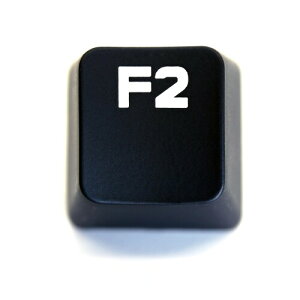 ���W�N�[�� GPRO G PRO X �L�[�L���b�v ���{��z�� �����p (�΂甄��) �L�[�X�C�b�` �L�[�{�[�h �Q�[�~���O �����Ή� (BERGBUCH) (F2)