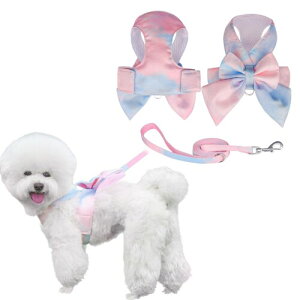 KUVEELA PET L ^ ^ n[lX [hZbg hbOEGA L  { XJ[g y   [v   ߉\ U EȒPisN{u[ S