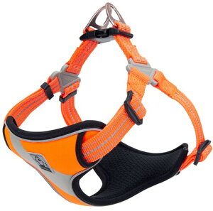 cocomall Sypn[lX p hbO ybgpi on[lX 3Mˍޗ P iC ^A^A^Ɍ ʋC ߉\ (M, IW)