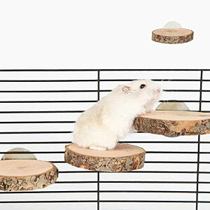 MUYYIKA ؐ R[i[Xe[W Xebv ۂ` ݑ nX^[ p ybg Vя P[W VRؑf @\ IE ~܂ X^h t t