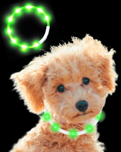 Qbit LED   L   Cg  U USB[d Type-C ^ ^ ^ TCY߉\ (O[)