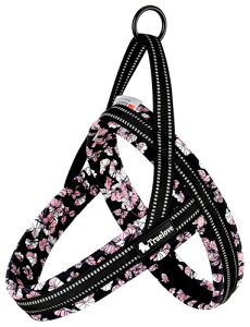 cocomall 2025ŐVAɗDn[lX TRUE LOVE{X pn[lX p hbO ybgpi 3Mˍޗ P lIvf ^A^A^Ɍ ʋC ߉\ Ă