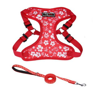 THAIN n[lX [h ^  n[lX ^  lC L p [h bVn ʋC ԕ(S )